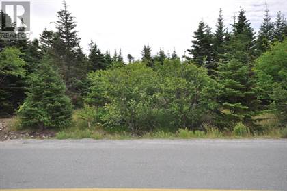 71 Patrick's Path, Torbay, Newfoundland and Labrador, A1K1J8