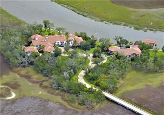 Luxury Homes For Sale Mansions In Jekyll Island Ga Point2