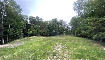 Lot 27 Sable Point Drive, Shelby, MI, 49455