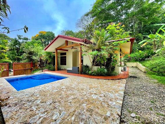 7 Bedroom Estate – 4 Bedroom Ocean View Home With Pool, 3 Bedroom Guest House With Pool - 3.2 Acre - photo 45 of 50