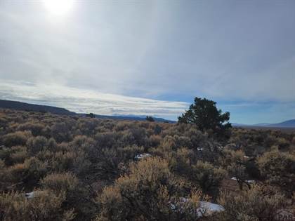 200 acres, Alamosa, CO, Property ID: 7104392 - Land and Farm