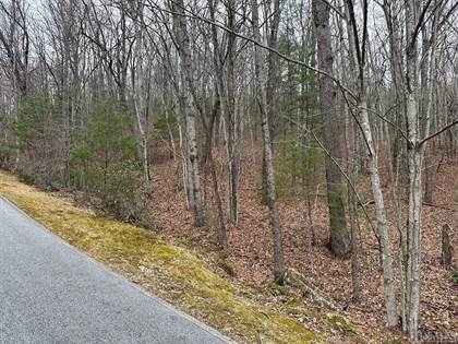 Lot 35 Buckberry Drive North, Sapphire, NC, 28774 — Point2