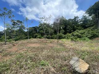 15.9 ACRES - Ocean View Development Property With Legal Water, Public Road, 5 Min From Highway!!!!!, Uvita, Puntarenas