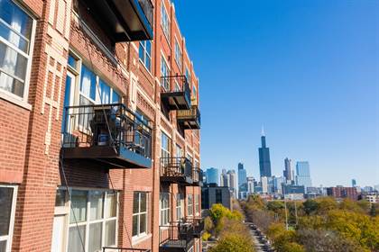 Apartments for Rent in West Side Chicago, IL (with renter reviews)