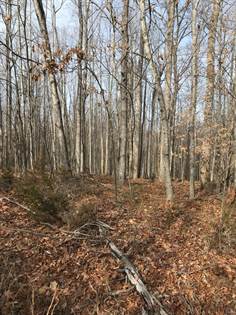 Picture of 0-Lot 11 Plantation Road, Amherst, VA, 24521