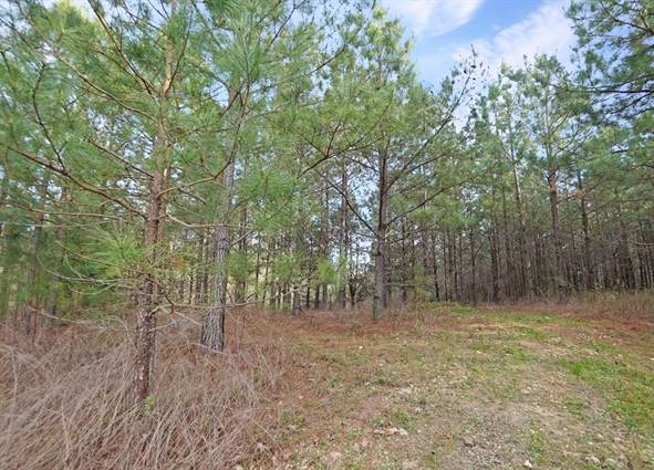 Land For Sale at 21 Cottrell Ridge Road, Dover, TN, 37058 | Point2