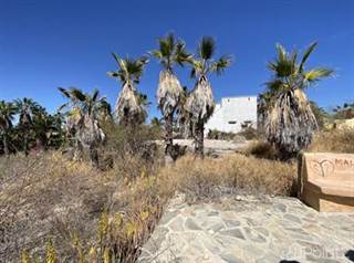 Lots And Land for sale in Las Playitas Lot Pacific., Todos Santos, Baja California Sur