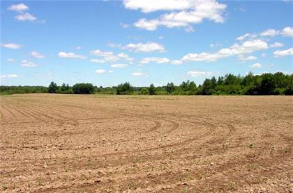 38 Acres On Cty. Rd. G, Ladysmith, WI, 54848