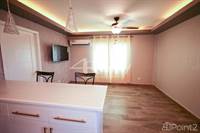 Modern 1-Bedroom 1-Bathroom Apartment, Belize City, Belize