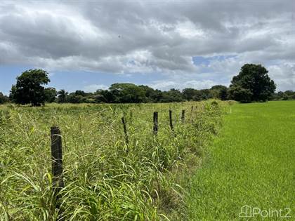 25 Hectares, Legal Well, Highway Frontage!!  Farm or Develop. Liberia, Costa Rica, Bagaces, Guanacaste