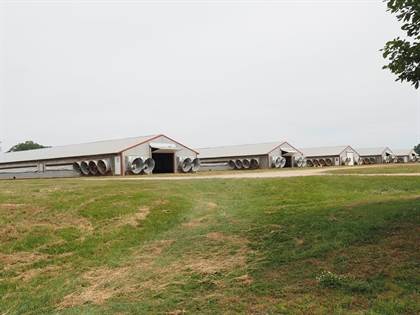 Farm And Agriculture for sale in 571 Hwy 583 N, Tylertown, MS, 39667