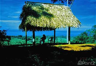 Tucan Ridge, 60.5 acre Ocean View property, Barú, Puntarenas