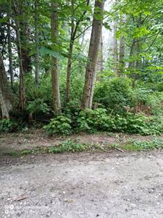 Lots And Land for sale in 32 K Beach Way, Hat Island, WA, 98201