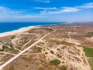 Lots And Land for sale in TODOS SANTOS Las Playitas Parcel, Todos Santos, Baja California Sur