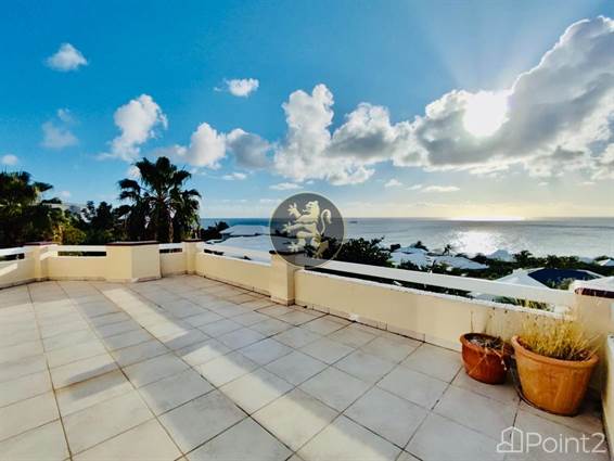 Relax in Luxury with Ocean & Sunset Views, Sint Maarten - photo 22 of 25
