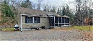 242 Griffin Road, Wells, NY, 12190