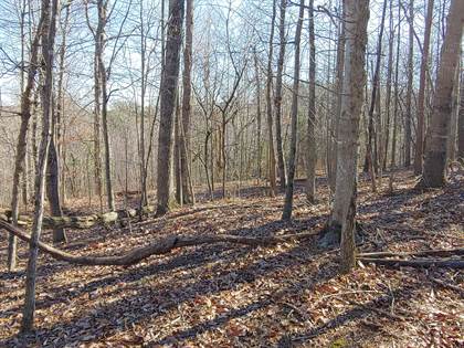 Picture of LOT 1 TRUMAN HILL RD, Hardy, VA, 24101