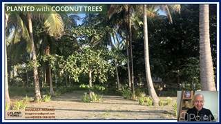 Invest in this Kamuning Beach Lot near Puerto Princesa City, Palawan – the Best Island in the World., Aborlan, Palawan