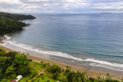 Farm And Agriculture for sale in Eco Beachfront Retreat Property in Drake Bay, Drake Bay, Puntarenas