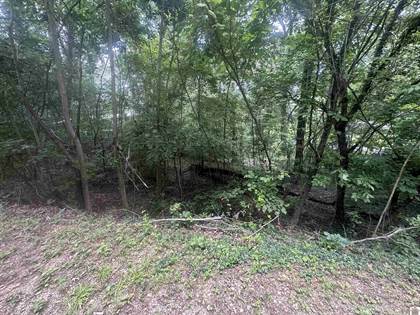 Picture of 000 Country Hills Dr., Eddyville, KY, 42038