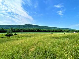 2396 Andover Rd LOT 2, Wellsville, NY, 14895
