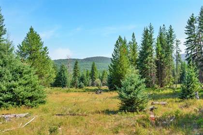 Lot 25 Meadow Peak Subdivision, Libby, MT, 59923