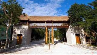 Excellent property of 1 hectare in closed fractionation Riviera Maya P2781, Chemuyil, Quintana Roo