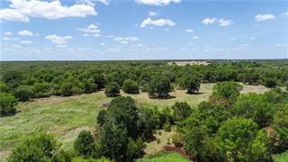 5380 County Road 132 (81.051 acres), Somerville, TX, 77879