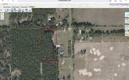 Picture of TBD NE TIGER LILY RD, Mayo, FL, 32066