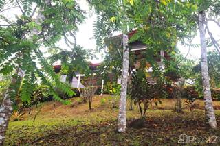 The perfect place, close to nature while enjoying all the amenities that the town has to offer., Ojochal, Puntarenas