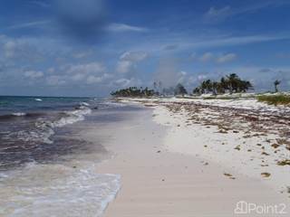 AMAZING LOT FOR SALE IN MAHAHUAL, SIAN KA'AN RESERVE, Majahual, Quintana Roo