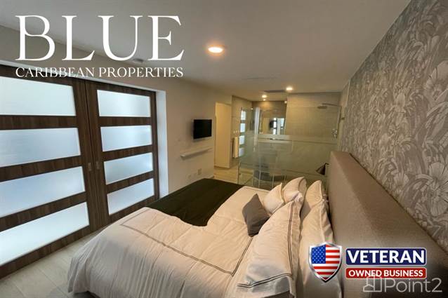 PUNTA CANA REAL ESTATE - AMAZING APARTMENT FOR SALE - BEDROOM - photo 10 of 16