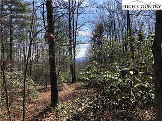 Lot 114 & 115 Derby Chase Court, Mcgrady, NC, 28649