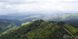 Land with panoramic view planted with San Ramón coffee, San Ramon, Alajuela