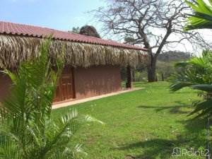 Cute 2BR Located in an authentic Tico village  1, Nicoya, Guanacaste