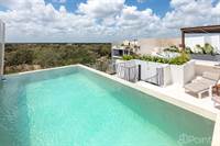 Beautiful PH with jungle view and private pool for rent!, Tulum, Quintana Roo