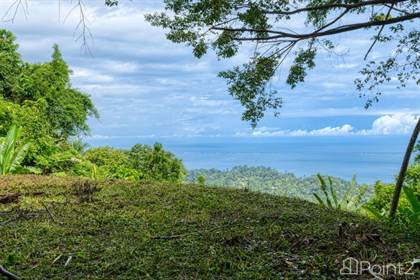 Fantastic Land Ocean Jungle Views Playa Hermosa Realty, Garabito, Puntarenas
