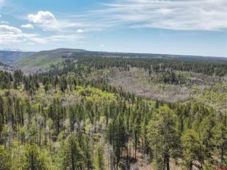 Lot 3 King Drive, Dolores, CO, 81323