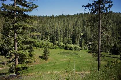Tbd Eight Mile Creek Road, Florence, MT, 59833