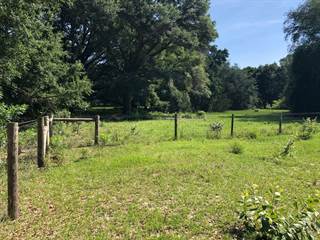 40 acres 73rd Way, Bell, FL, 32619