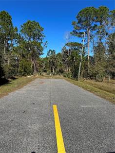 Picture of HARNEY HEIGHTS TRAIL, Geneva, FL, 32732