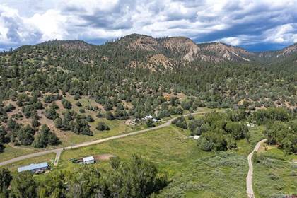 X County Road 335, Pagosa Springs, CO, 81147