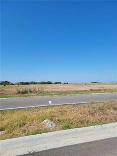 Picture of 15226 Lake Athens Dr, Robstown, TX, 78380