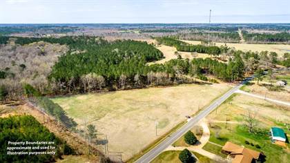 Lots And Land for sale in 0 N Pine Ave, Heidelberg, MS, 39439