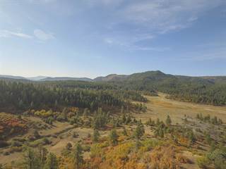 208 Peace Place, Pagosa Springs, CO, 81147
