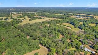 LOT 1 CR 2138 (OLD TYLER HWY), Troup, TX, 75789