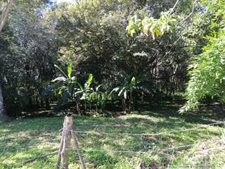 Farm in Palmira Abajo Boquete SSS2511 LG, Boquete, Chiriquí