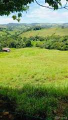 Usable Land with Great Mountain Views - 39.52 Acres, Platanillo, Puntarenas