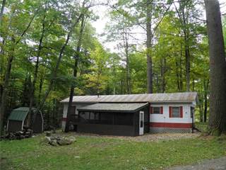 8258 Mcmullen Road, Watson, NY, 13367