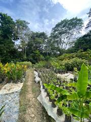 Baru Riverside Farm, Barú, Puntarenas